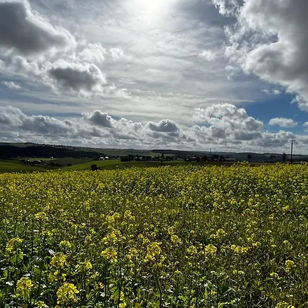 In Der Jeessjass Bleialf