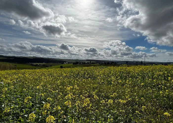 In Der Jeessjass Bleialf